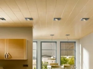 The Evolution of PVC Ceiling Panels: From Inception to Modern Applications